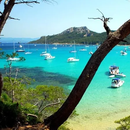 Villa Saint-come, Du Grand Luxe A 1 Min De La Hyères