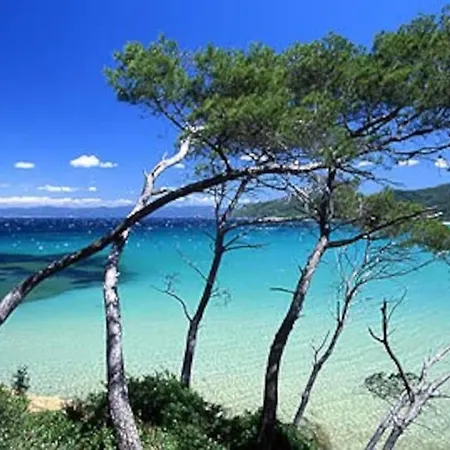 Villa Saint-come, Du Grand Luxe A 1 Min De La Hyères